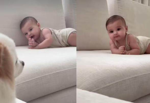 1736174201482091868.png 1736174201482091868.png